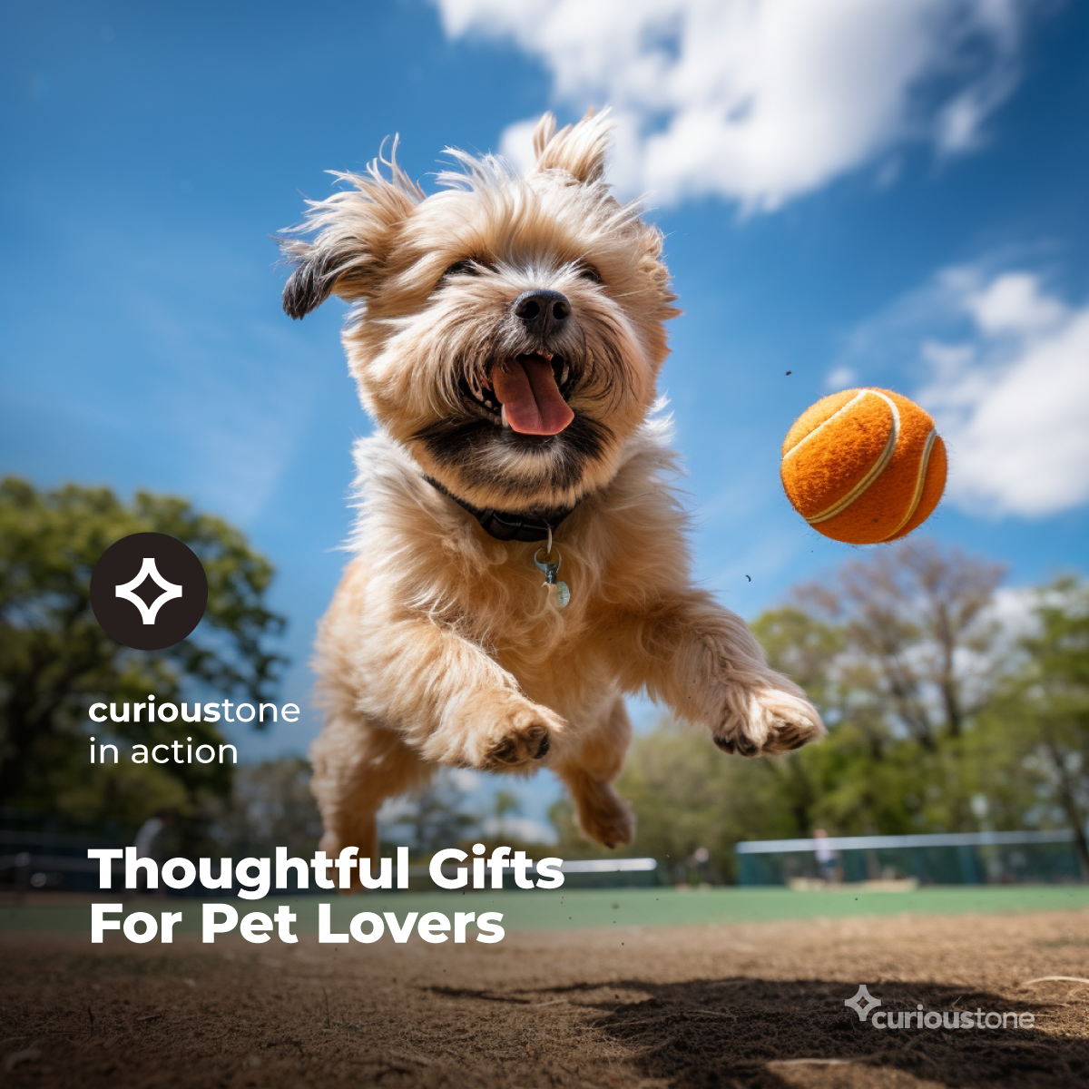 curioustone pet gifts