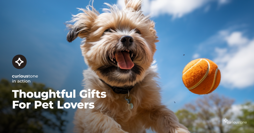 curioustone pet gifts